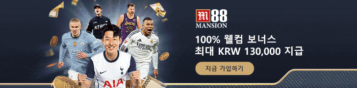 해외 배팅 사이트의 안전한 접속과 보안 절차를 설명하는 그래픽